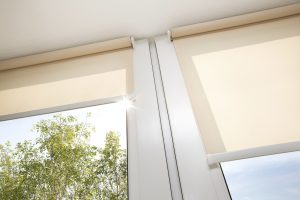Window with sand coloured roll blinds